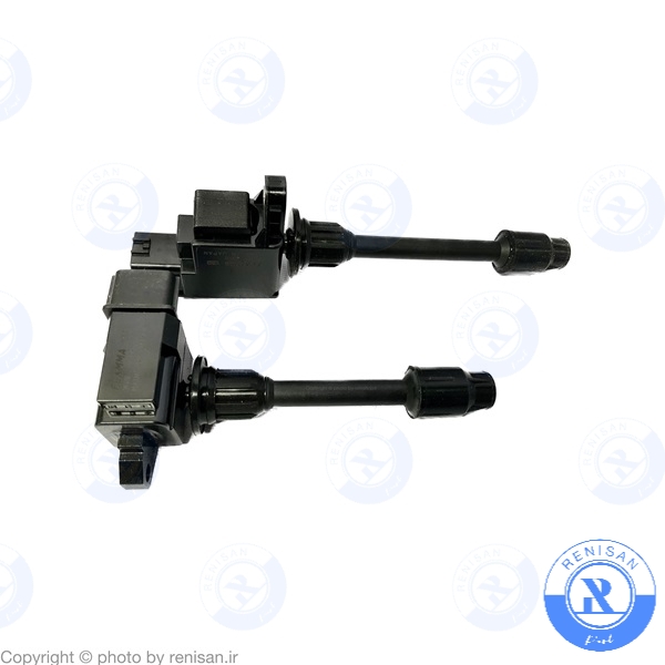 کوئل بزرگ و کوچک ماکسیما (ژاپن) 