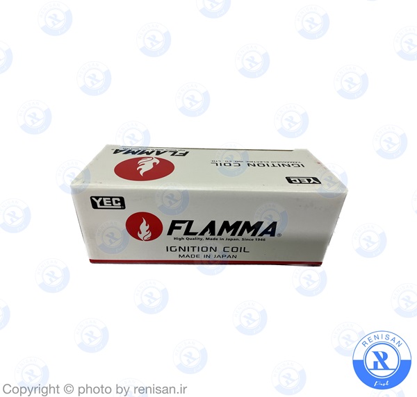 کوئل بزرگ و کوچک ماکسیما (ژاپن) 