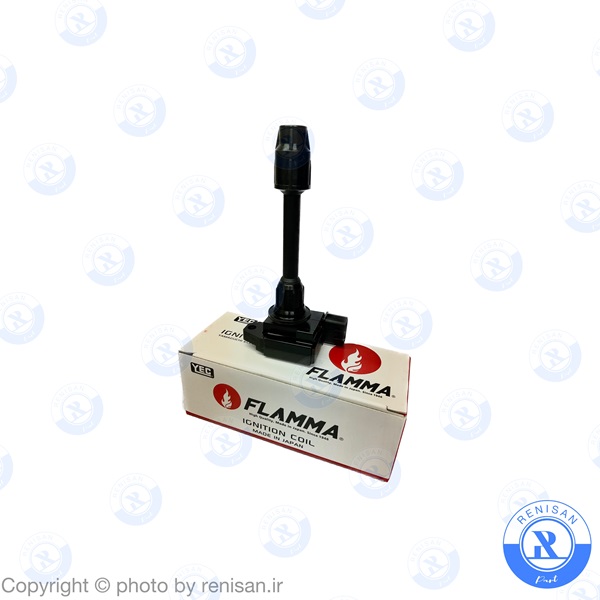 کوئل بزرگ و کوچک ماکسیما (ژاپن) 