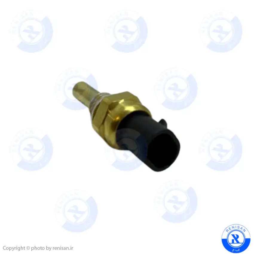 فشنگی آب بزرگ ریچ