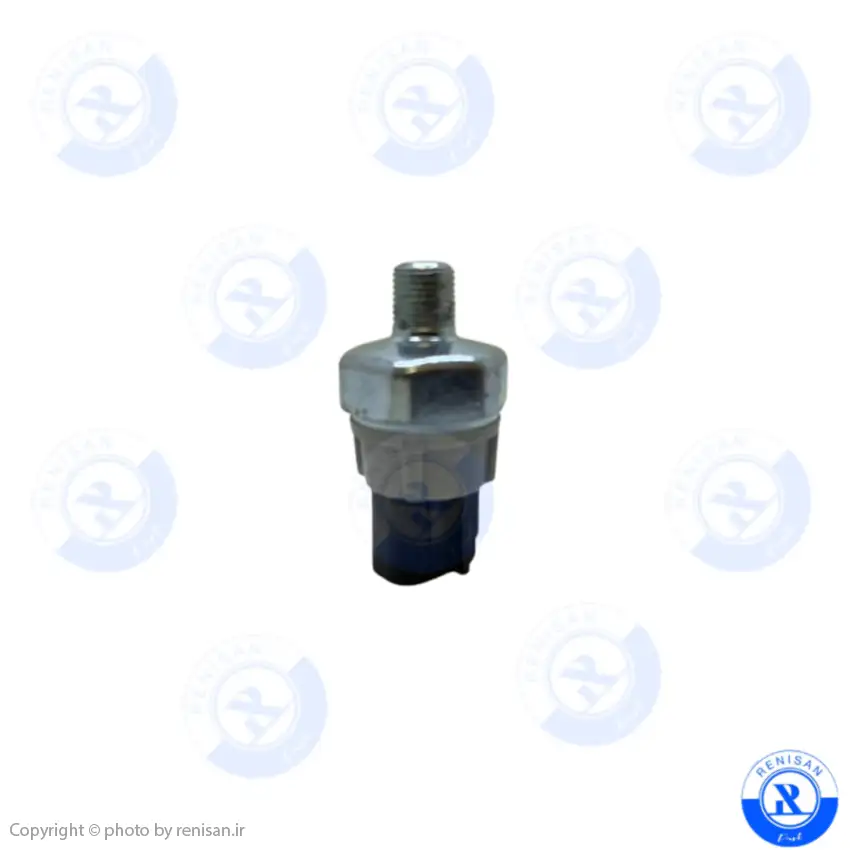 فشنگی روغن ریچ